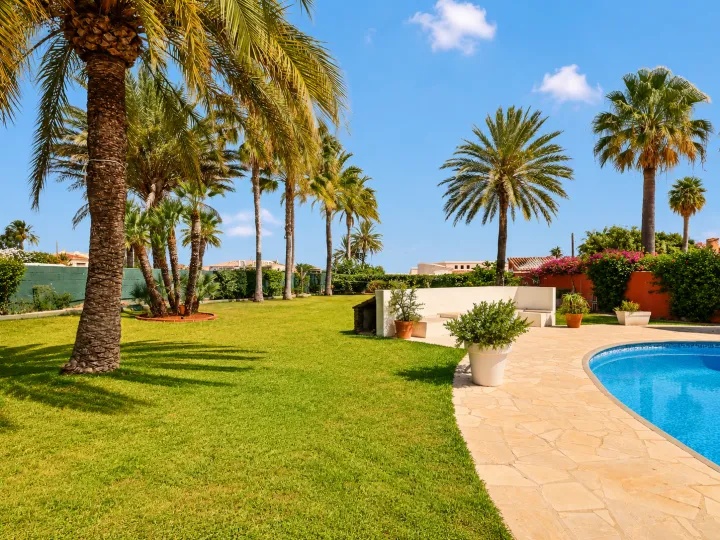 Jardín con palmeras y piscina de la villa cerca de Dénia
