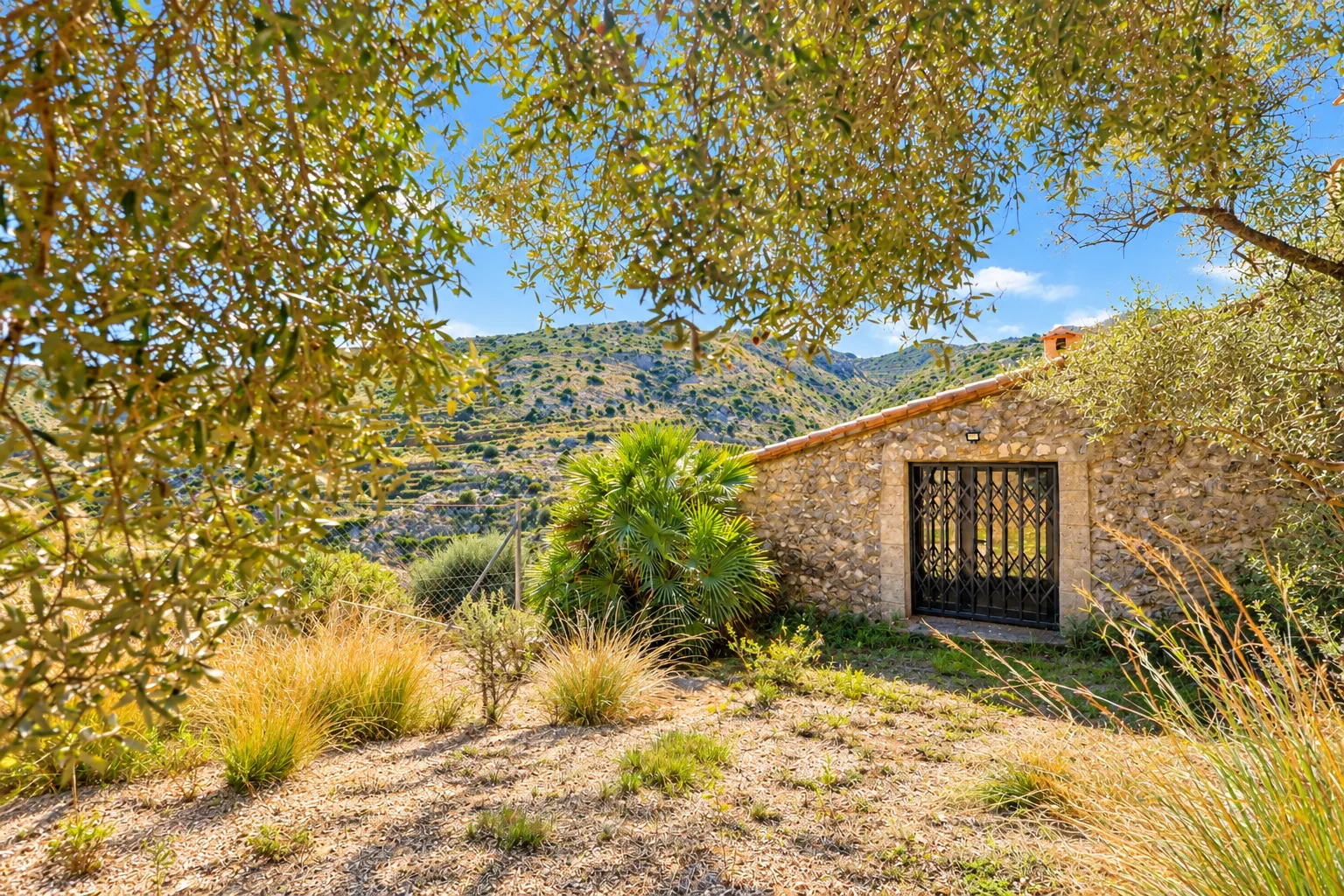 A reformed mass to live nature, just 10 minutes from Pego