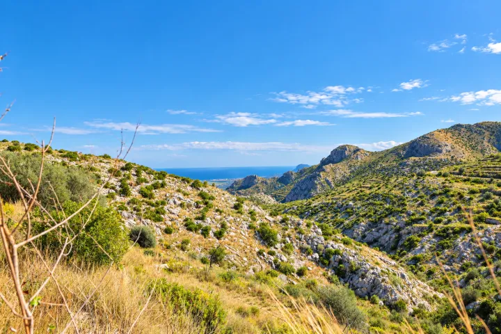 A reformed mass to live nature, just 10 minutes from Pego