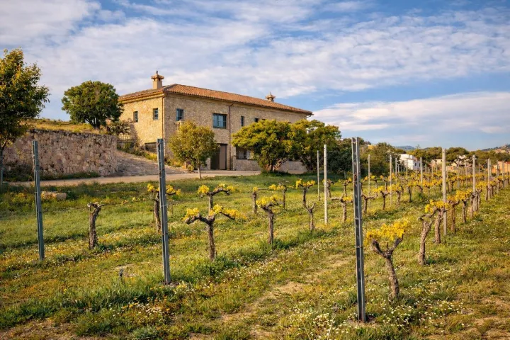 Finca mediterránea con viñedos privados y vistas al Montgó, entre Jávea y Benitachell