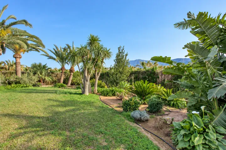 Eine Villa mit mediterraner Seele und Blick auf den Montgó in Dénia